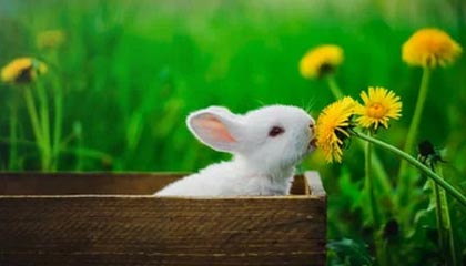 半岛体育官网——让每一场体育盛宴触手可及